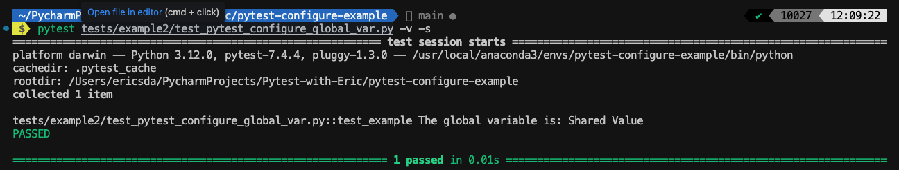 pytest configure global variable