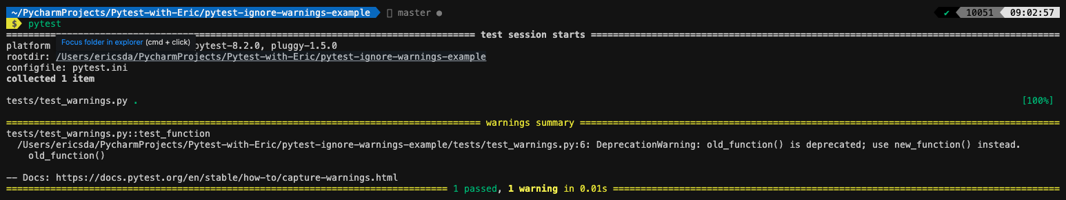 How To Ignore Warnings In Pytest (With Examples) | Pytest with Eric