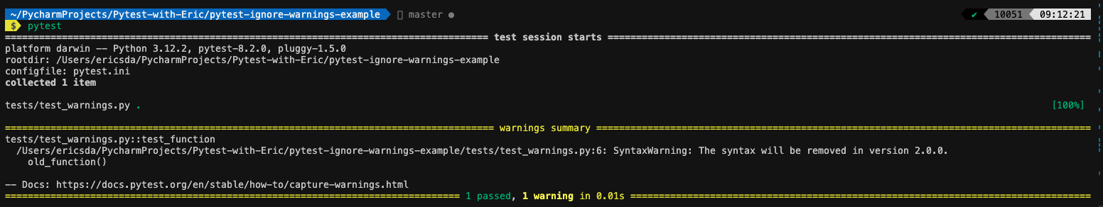 How To Ignore Warnings In Pytest (with Examples) 