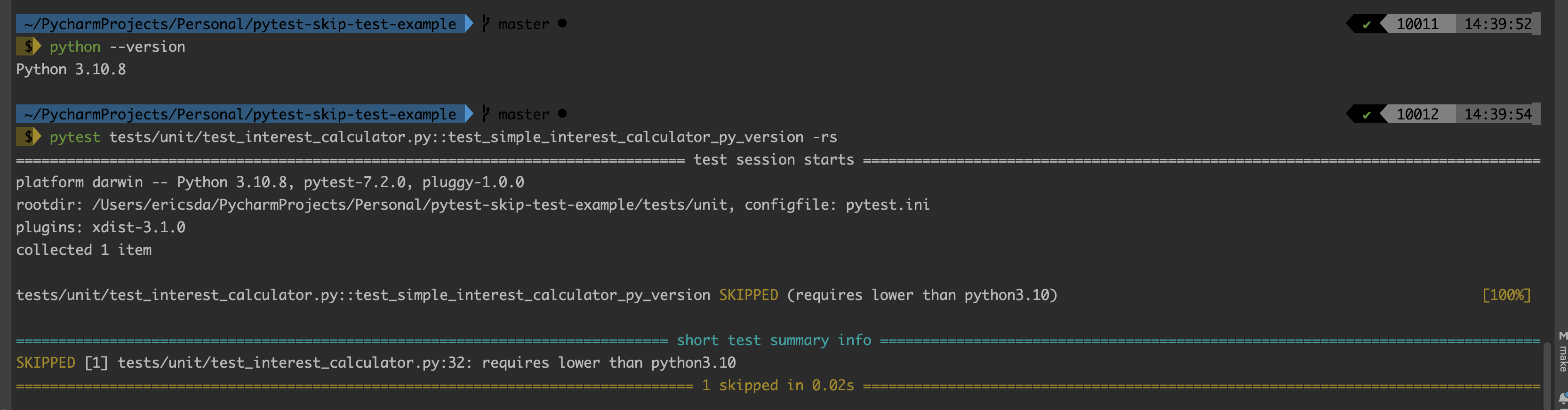 pytest-skip-test-4