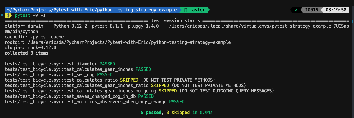 python-testing-strategy-run-test